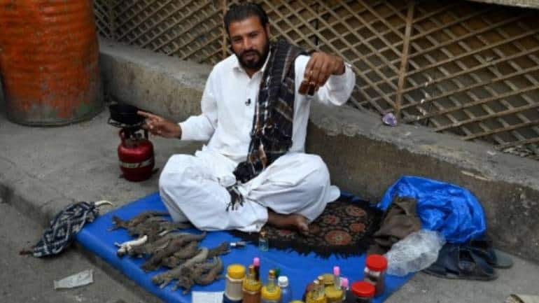 After ban on Viagra Pakistani men turn to lizard oil aphrodisiac