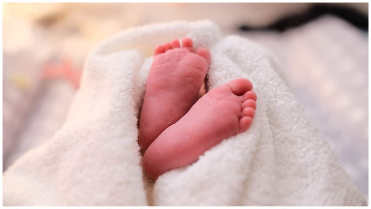 Premium Photo, Close up of newborn baby feet on female hands