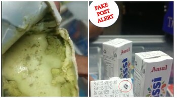 Amul called the video 'misinformation' and issued a detailed press note. (Image: aamjanjan and @Amul_Coop/Twitter)