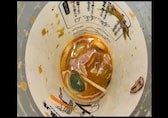 Man finds live frog in half-eaten cup of noodles at popular Japanese restaurant. Video