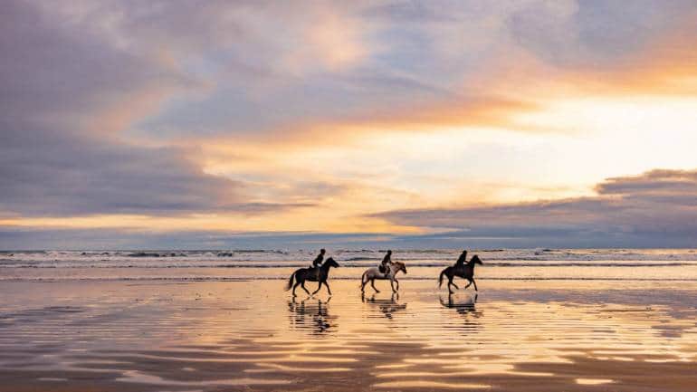 Discover New Zealand: The Guide For First-Time Visitors By Air New Zealand - Vimarsana News