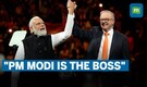'The Boss' — Australian PM Anthony Albanese's praise for PM Modi In Sydney