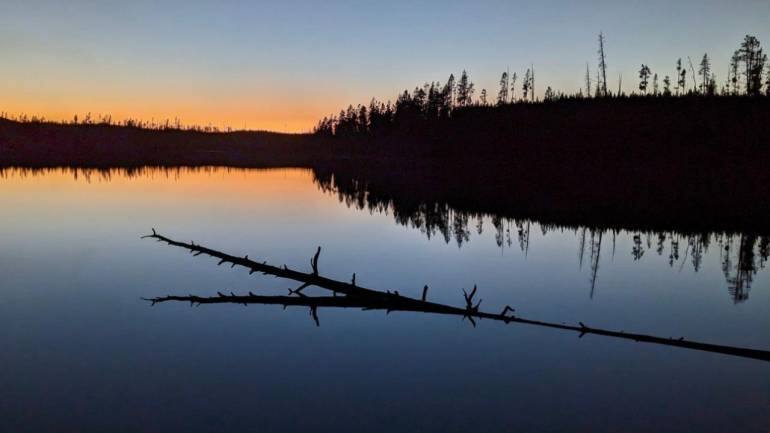 Smartphone photography tricks and tips (Image: Ashwin Rajagopalan)