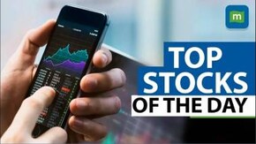 Shree Cement, NTPC, Zomato and JSW Steel: Top stocks to watch on May 22