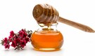 Benefits of Manuka honey: A natural remedy for wound healing, oral and digestive health