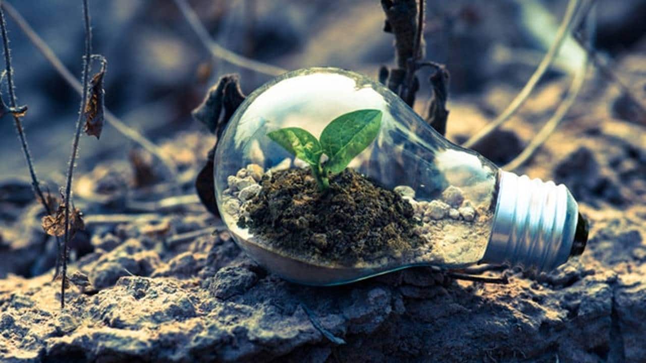 PSU banks raised Rs 1,814 crore in green deposit in FY25, majority used for renewable projects