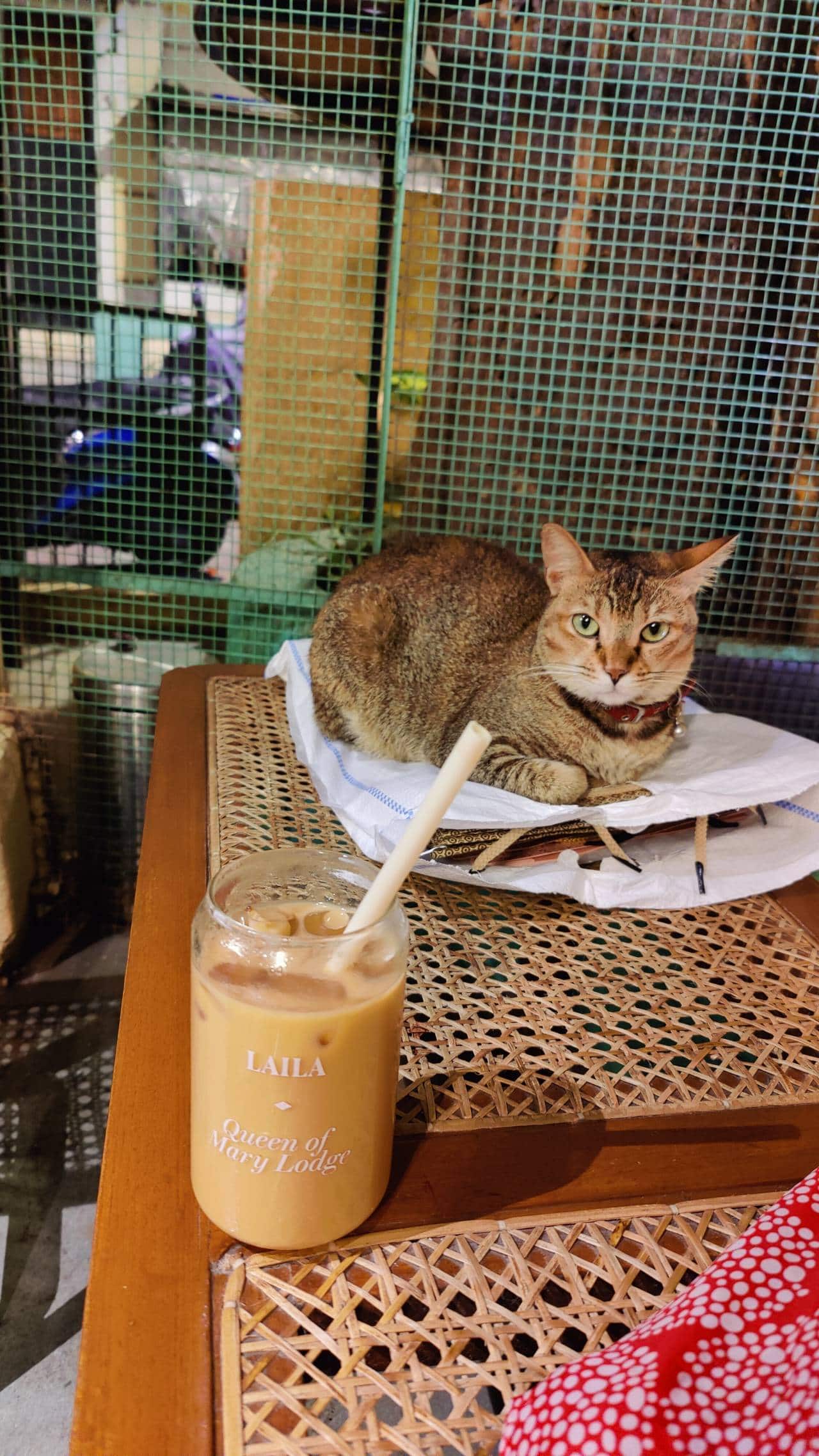 Laila at Subko Café and Bakehouse, Bandra, Mumbai.