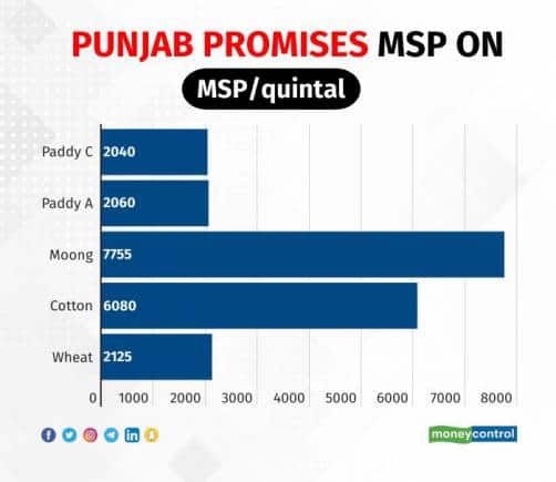 Punjab MSP crops