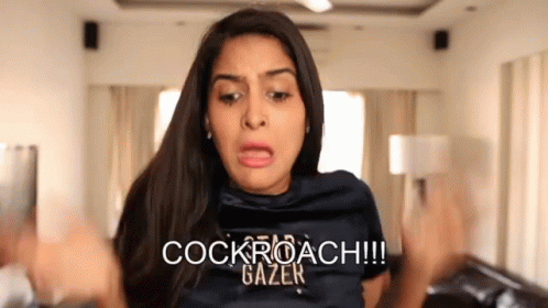 Met Gala gatecrashed