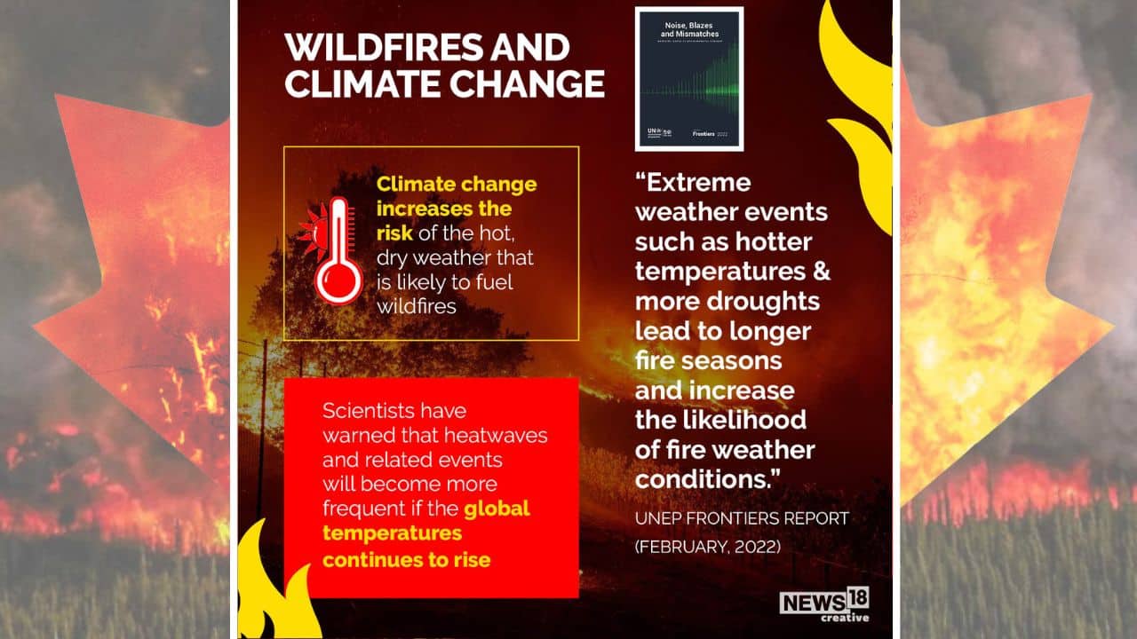 Climate change increases the risk of the hot, dry weather that is likely to fuel wildfires. (Image: News18 Creative) Climate change increases the risk of the hot, dry weather that is likely to fuel wildfires. (Image: News18 Creative)