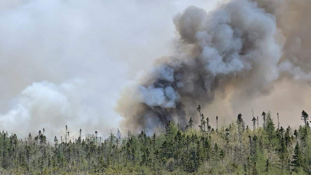 Wildfires are common in Canada's western provinces, but this year flames have been mushrooming rapidly in eastern Canada, forcing home evacuations and the federal government to send in the military. (File Image: AFP)
