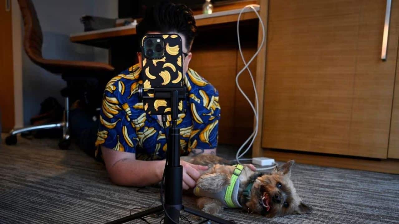 Two years later, the "Under the Desk News" TikTok account attracts nearly 3 million followers, who appreciate Spehar's gentler take on the news of the day. The show avoids true crime, while focusing on subjects in which people can take action. Spehar tries to end each video on a lighter note. Since the surge in popularity of the short-form video app at the start of the pandemic, people like Spehar have flocked to the platform to discuss, document and share what's happening in the world. (Image: Reuters) Two years later, the "Under the Desk News" TikTok account attracts nearly 3 million followers, who appreciate Spehar's gentler take on the news of the day. The show avoids true crime, while focusing on subjects in which people can take action. Spehar tries to end each video on a lighter note. Since the surge in popularity of the short-form video app at the start of the pandemic, people like Spehar have flocked to the platform to discuss, document and share what's happening in the world. (Image: Reuters)