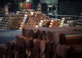 The race for critical materials and how India can get ahead