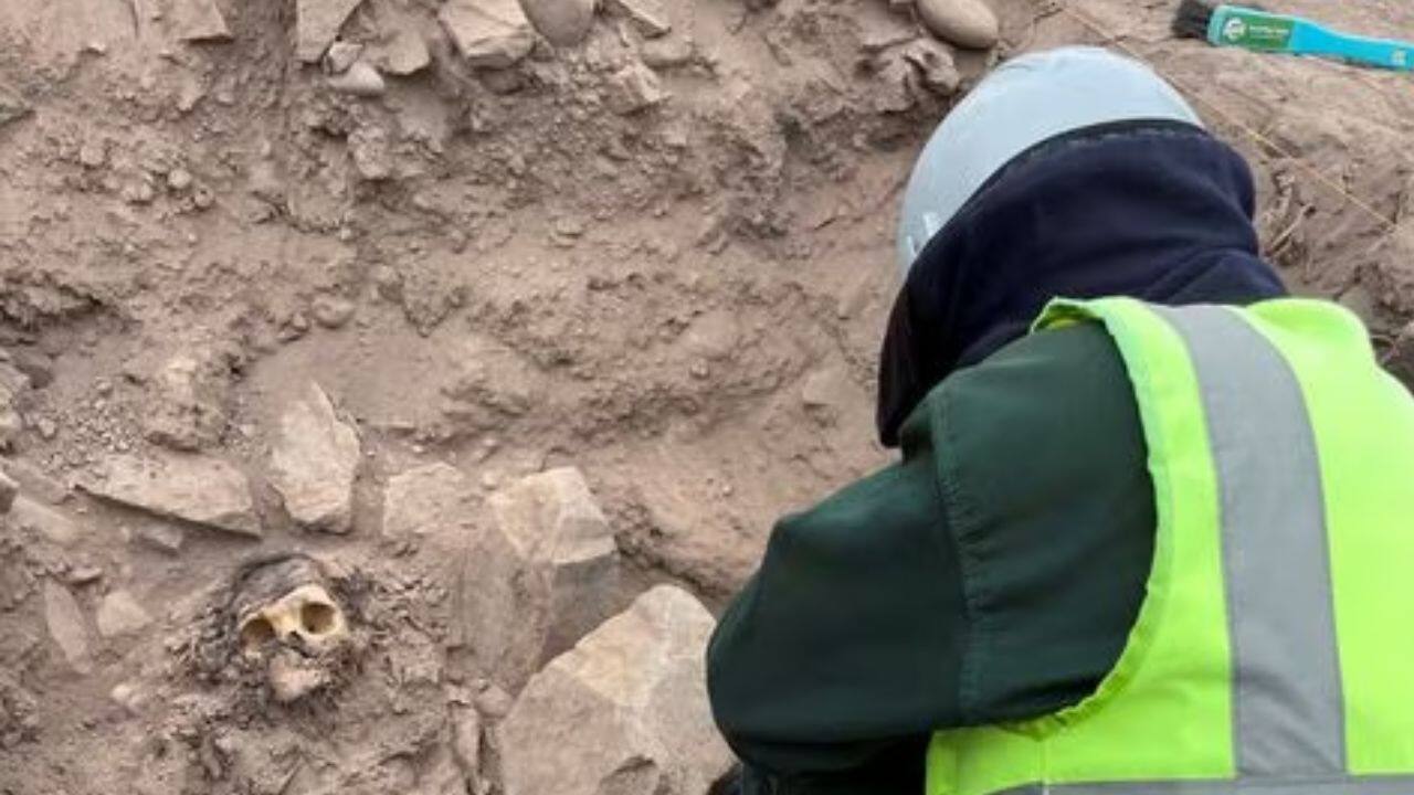 .&quot;Archeologists unearthed other items buried with the body, including corn, coca leaves and seeds, which they believe may have been part of an offering. (Image: Reuters)