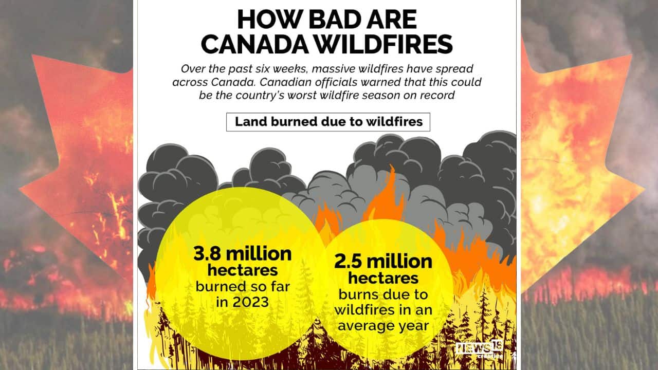 Over the past six weeks, massive wildfires have spread across Canada. Canadian officials warned that this could be the country’s worst wildfire season on record. (Image: News18 Creative) Over the past six weeks, massive wildfires have spread across Canada. Canadian officials warned that this could be the country’s worst wildfire season on record. (Image: News18 Creative)