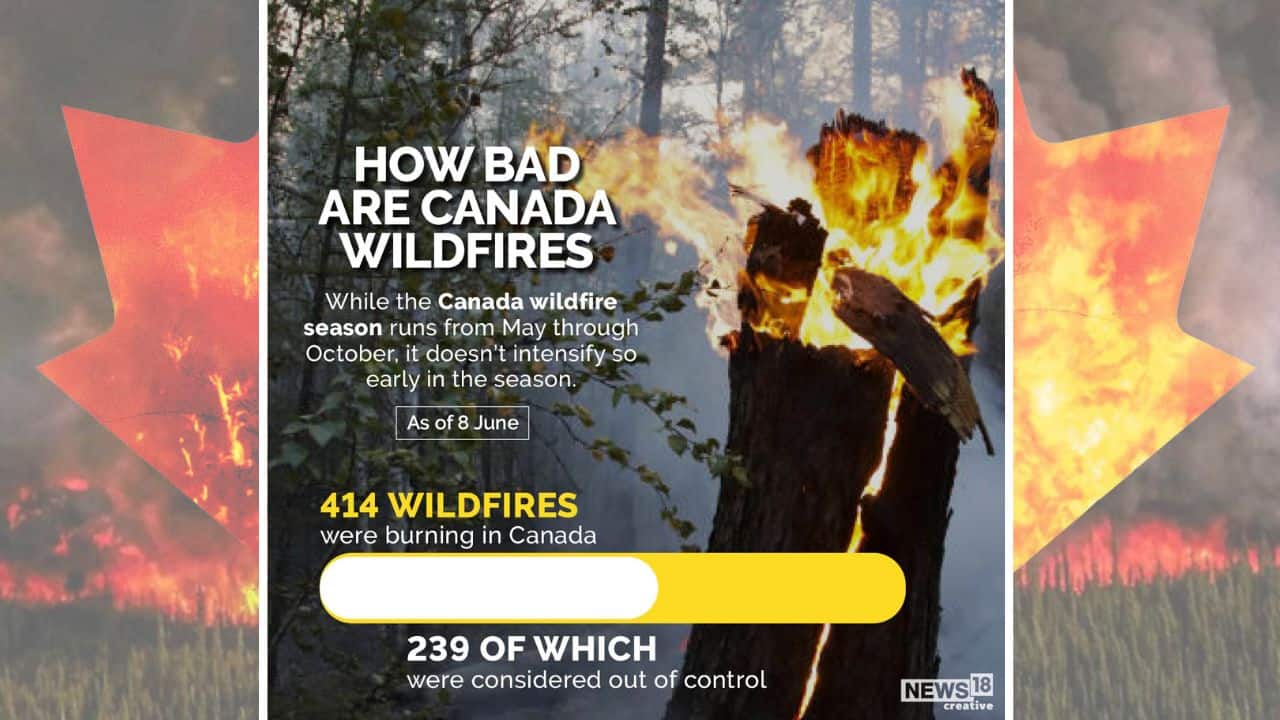 While the Canada wildfire season runs from May through October, it doesn’t intensify so early in the season. (Image: News18 Creative) While the Canada wildfire season runs from May through October, it doesn’t intensify so early in the season. (Image: News18 Creative)