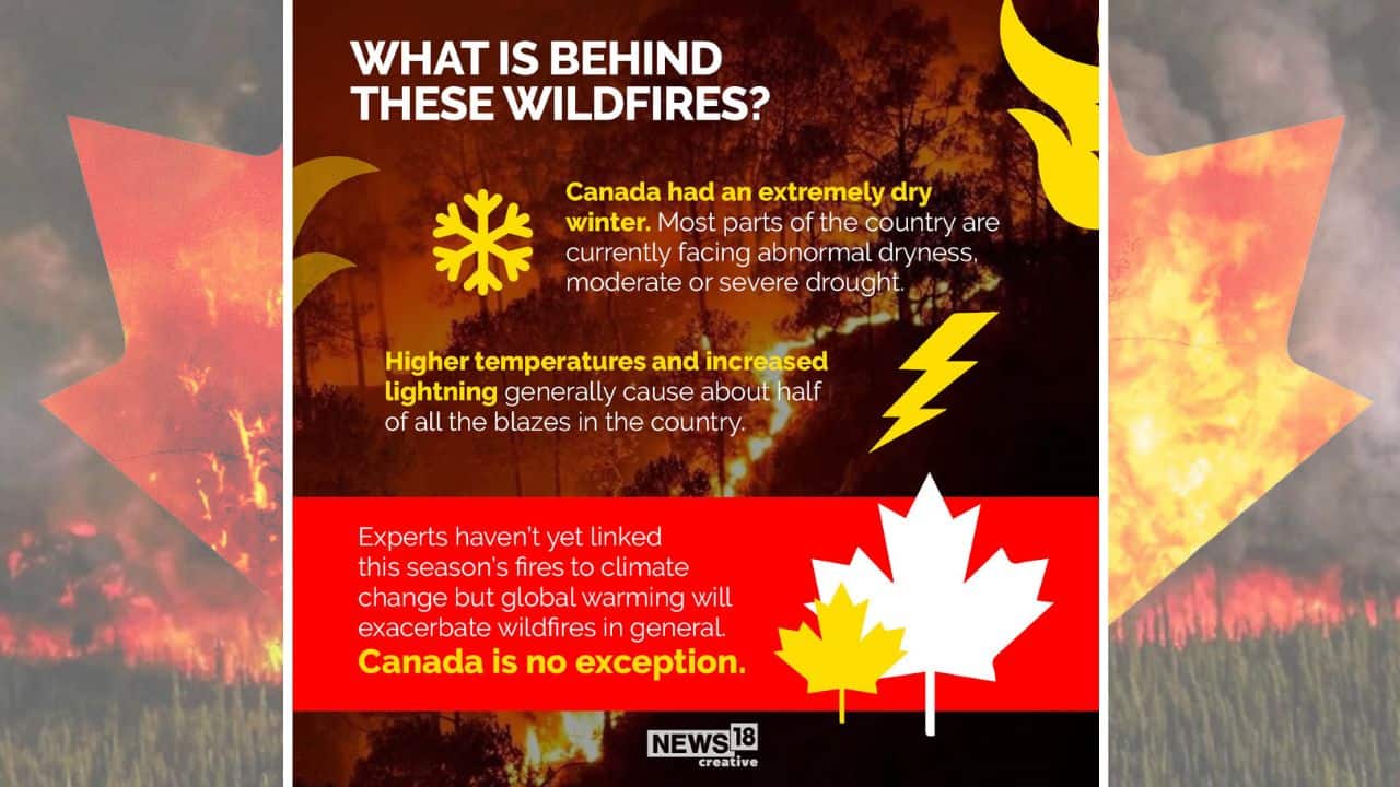Canada has an extremely dry winter. Most parts pf the country are currently facing abnormal dryness moderate or severe drought. (Image: News18 Creative) Canada has an extremely dry winter. Most parts pf the country are currently facing abnormal dryness moderate or severe drought. (Image: News18 Creative)