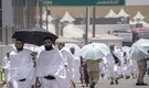 Egypt revokes licenses of 16 tourism firms after pilgrims die in Mecca