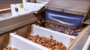 Almond sorting at Farmley. Each year, 1 in 10 people get sick from food borne diseases and 4.2 million of them die because of contaminated food. (Picture courtesy of Farmley)