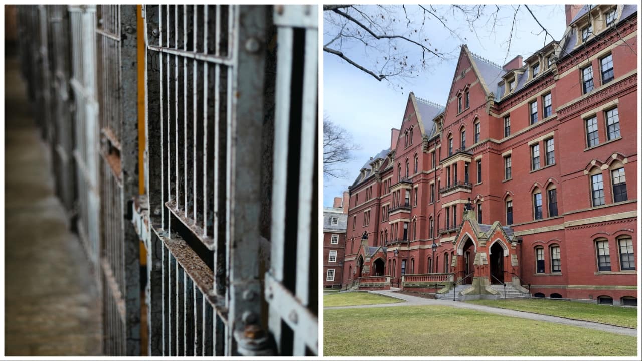 What’s bad for Harvard is good for America: Allison Schrager