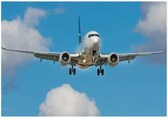 Bengaluru family sues Kuwait Airways for damaged bags, get Rs 59,000 as refund