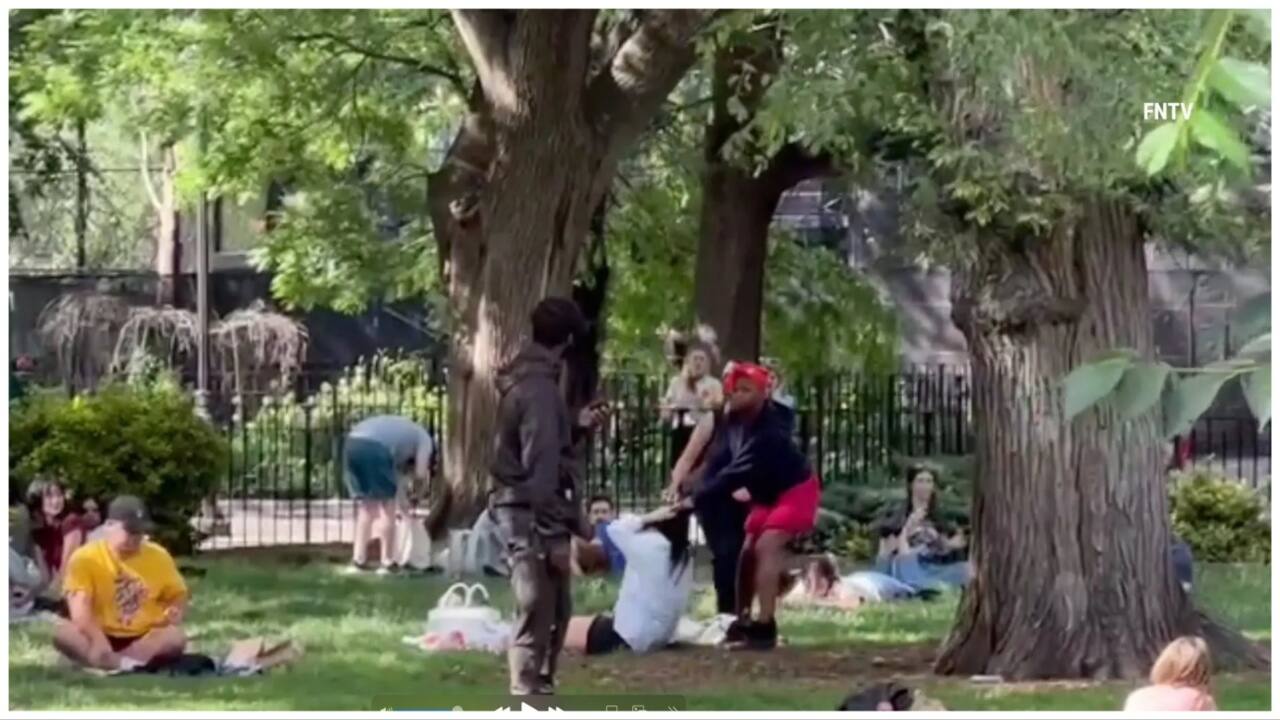 Woman attacks strangers in New York park in unprovoked rampage. Video