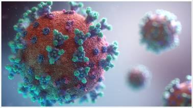 Human Metapneumovirus in India: Separating fact from fear