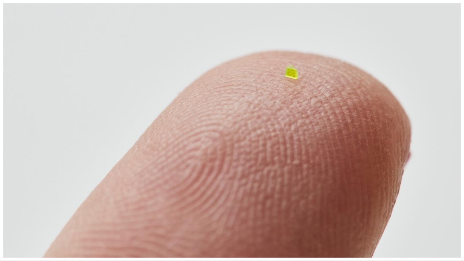 India Today - A minuscule bag, 'smaller than a grain of salt', has been  sold for Rs 51 lacs at an online auction, according to reports. The microscopic  bag is fluorescent yellowish-green