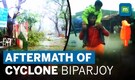Cyclone Biparjoy Updates: 22 Injured, Trees Uprooted In Gujarat | Mumbai, Rajasthan On Alert