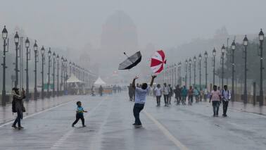 Indian Ocean Dipole effect could mitigate El Nino impact on India: RBI research