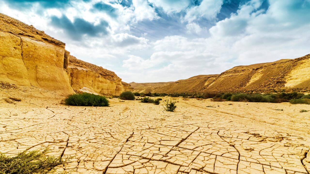 Explainer: Why an El Niño doesn't always mean a bad monsoon for India Explainer: Why an El Niño doesn't always mean a bad monsoon for India