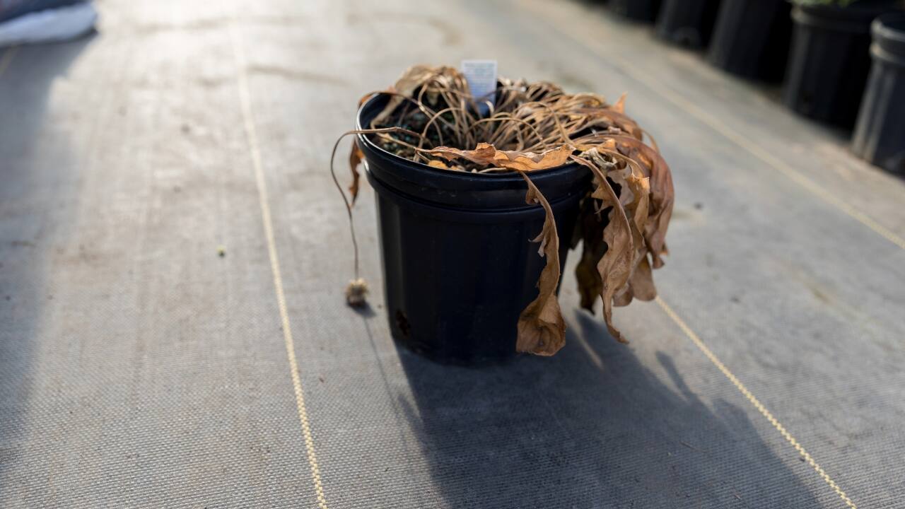 5 things in your home that could be bringing you bad luck