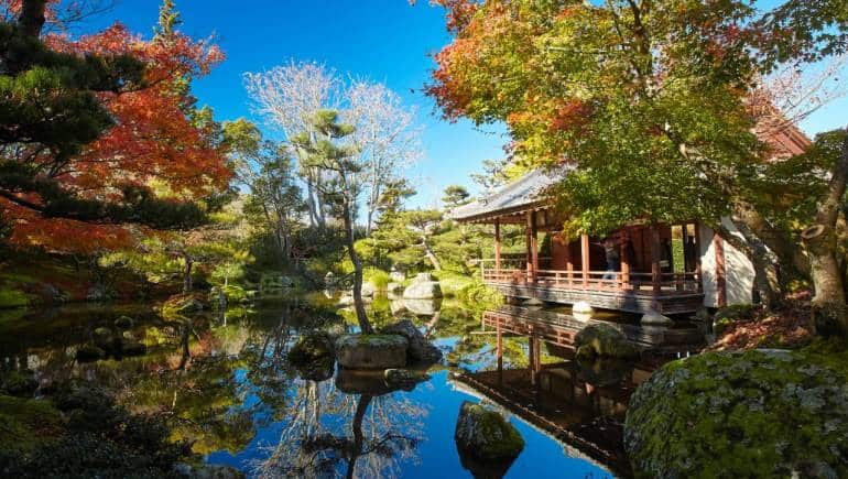 9 best botanical gardens in India and abroad - Vimarsana News