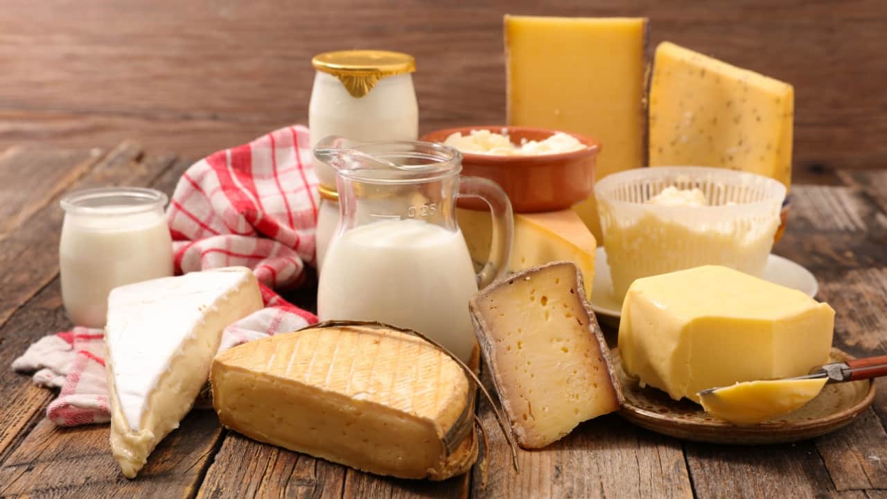 Healthy diet: Include these 6 calcium-rich foods in your diet plan to make your bones stronger