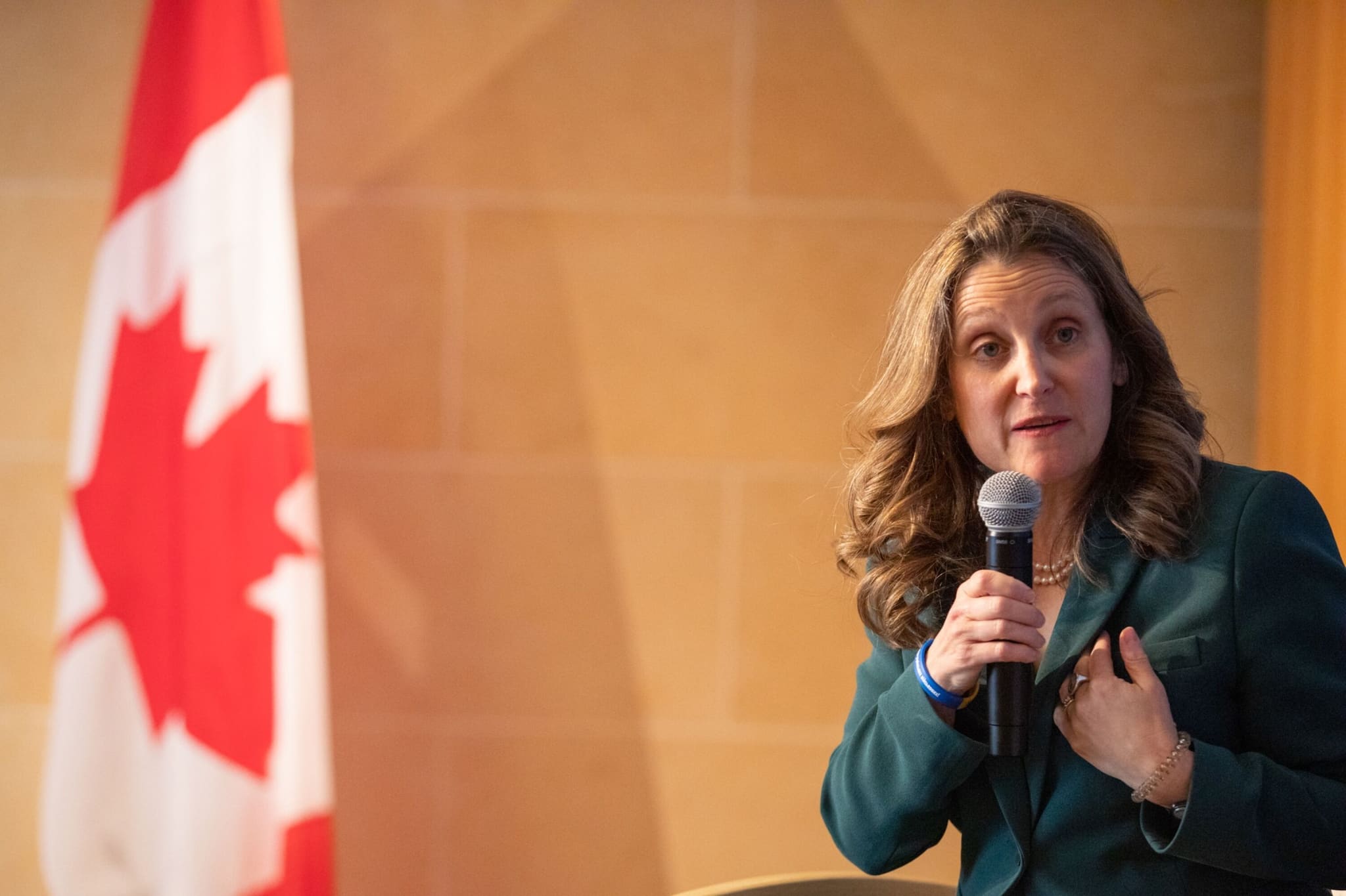 Canada’s snap retreat from China bank shows divided world