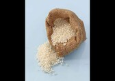 India allows some rice shipments to Philippines, other importing countries