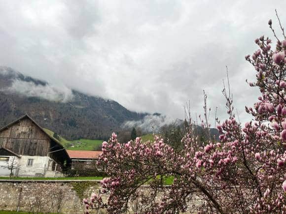 World Environment Day: A trip to Switzerland, where style meets sustainability for the mindful traveller - Vimarsana News