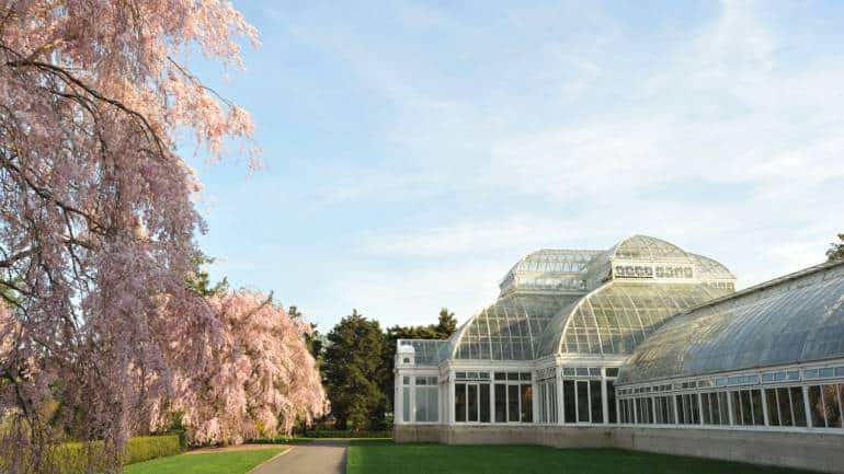 New York Botanical Garden. (Photo credit: NYCgo)