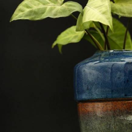 Pot by Yogam Pottery