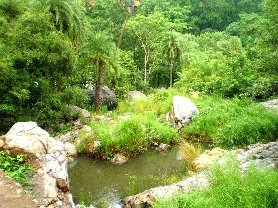 Sariska Tiger Reserve, Alwar. (Photo: Wikimedia Commons)