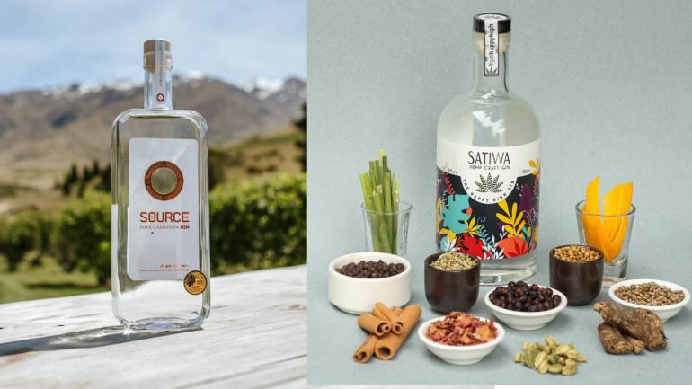 World Gin Day 2023 | 10 gins to add to your home bar - Vimarsana News