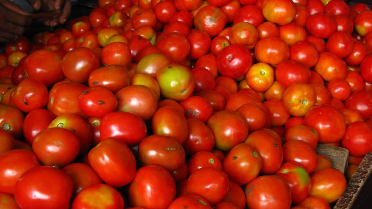 Tomatoes continue to fly off ONDC platform; over 45,000 kg sold in a month