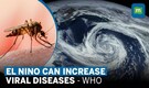 WHO Prepares For El Nino Linked Spread Of Viral Diseases Like Dengue, Zika Virus & Chikungunya
