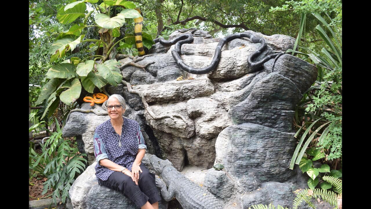World Environment Day 2023 | Naturalist Zai Whitaker on invaluable Adivasi knowledge getting lost as India dithers World Environment Day 2023 | Naturalist Zai Whitaker on invaluable Adivasi knowledge getting lost as India dithers