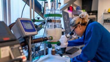 Carbon Removal: An industry that actually welcomes regulation