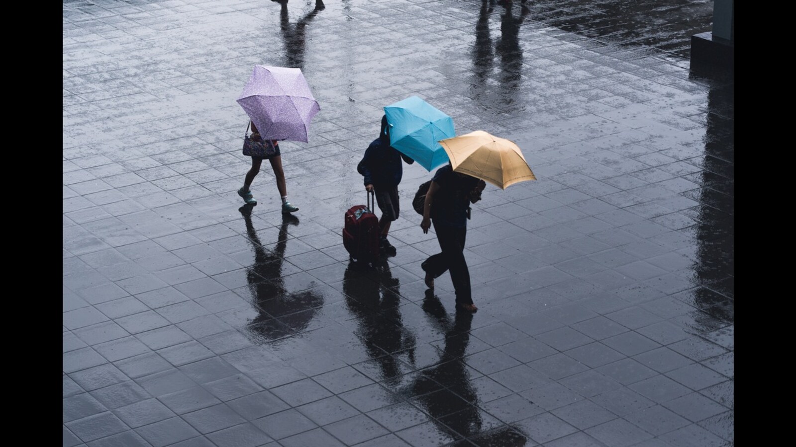 Louis Vuitton Umbrella when I walk through the rain