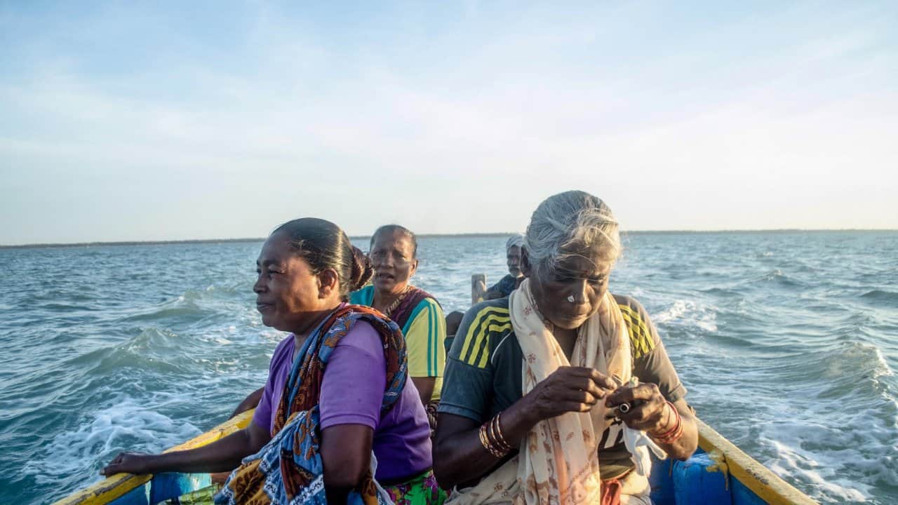 The seaweed divers of Pamban work to the rhythm of the lunar cycle, harvesting seaweed only 12 days a month when the tides are weaker.