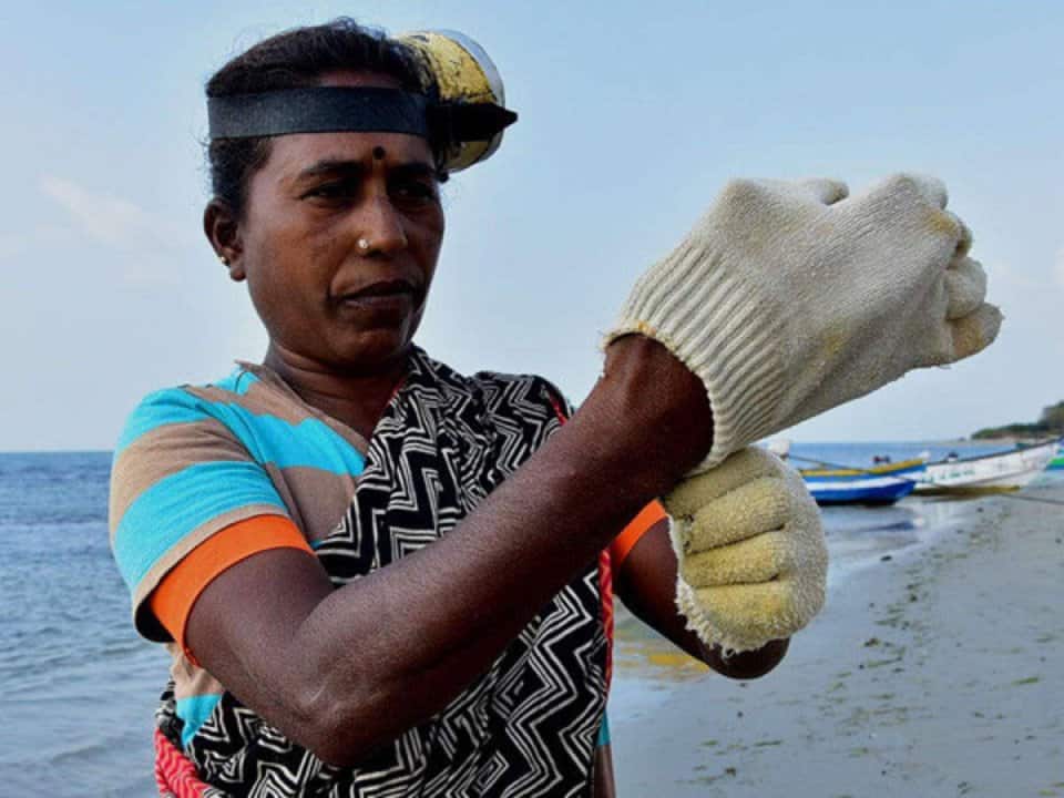 The group of women sets out early morning with their white net bags tied to their waists, in their boats.