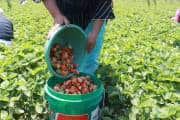 21st PM-KISAN installment rolled out: Rs 171 crore transferred to flood-hit J&amp;K farmers