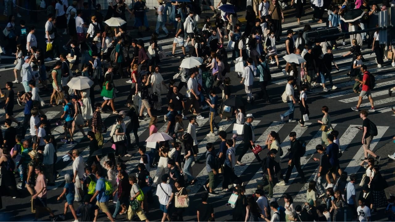 Around one-third of Americans are under some type of heat advisory, with the most blistering temperatures in the South and West, where even the regular simmer has turned up a notch. (Image: AP)